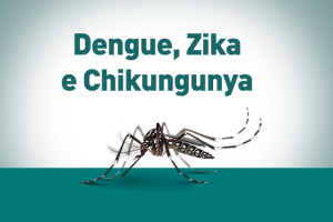 alep_2_dengue